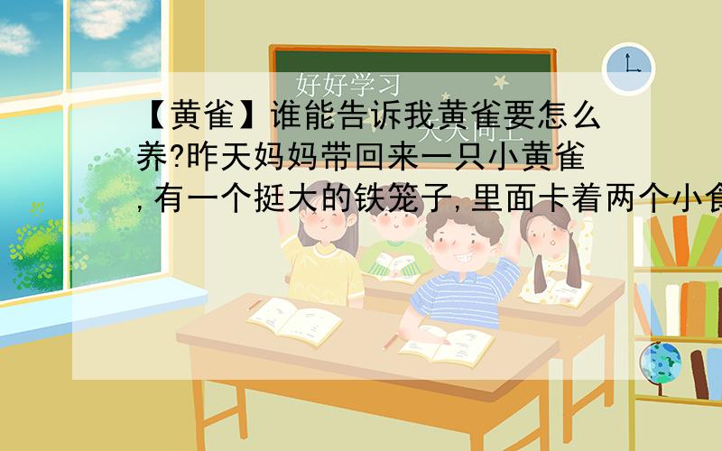 【黄雀】谁能告诉我黄雀要怎么养?昨天妈妈带回来一只小黄雀,有一个挺大的铁笼子,里面卡着两个小食盆,一个水槽,两根横着的棍子.妈妈只带回来了一袋小小的颗粒状的棕色的东西,不知道是