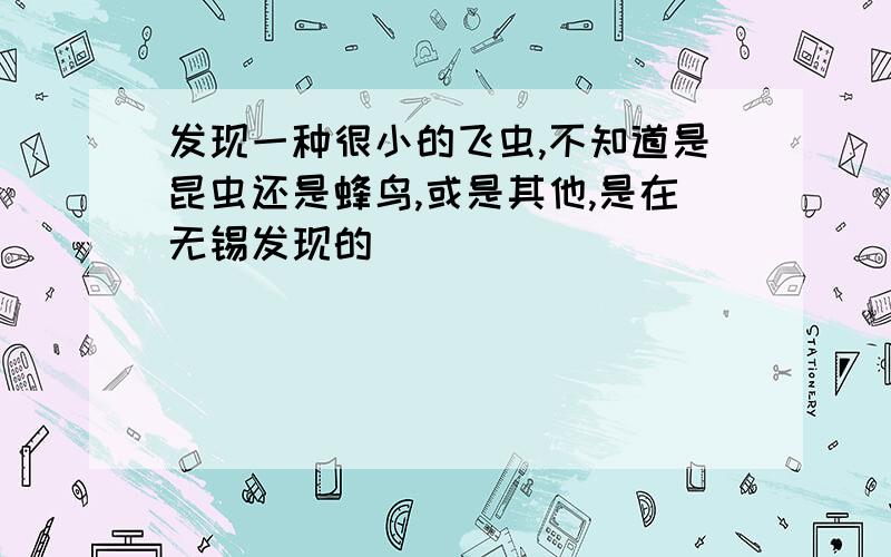 发现一种很小的飞虫,不知道是昆虫还是蜂鸟,或是其他,是在无锡发现的