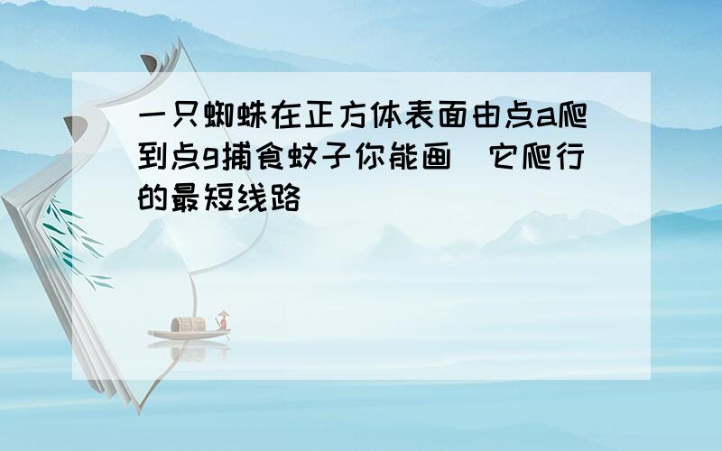 一只蜘蛛在正方体表面由点a爬到点g捕食蚊子你能画岀它爬行的最短线路