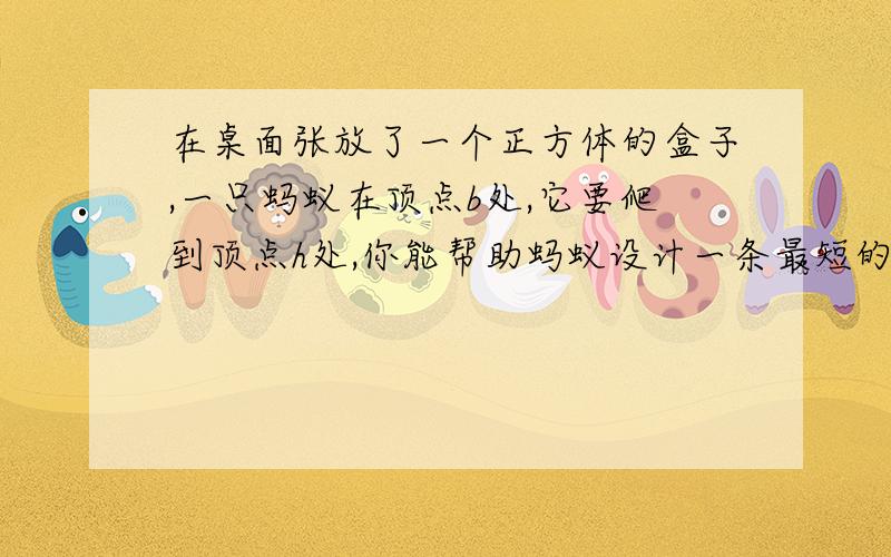 在桌面张放了一个正方体的盒子,一只蚂蚁在顶点b处,它要爬到顶点h处,你能帮助蚂蚁设计一条最短的爬行路线吗