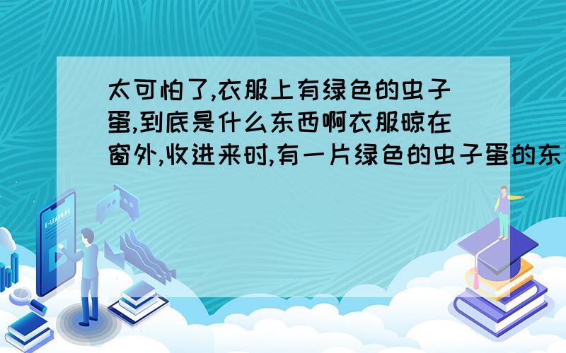 太可怕了,衣服上有绿色的虫子蛋,到底是什么东西啊衣服晾在窗外,收进来时,有一片绿色的虫子蛋的东西粘在衣服上,大概有十多个,比飞蛾的蛋要大一点,外壳很硬,不知道是什么东西的蛋,有没