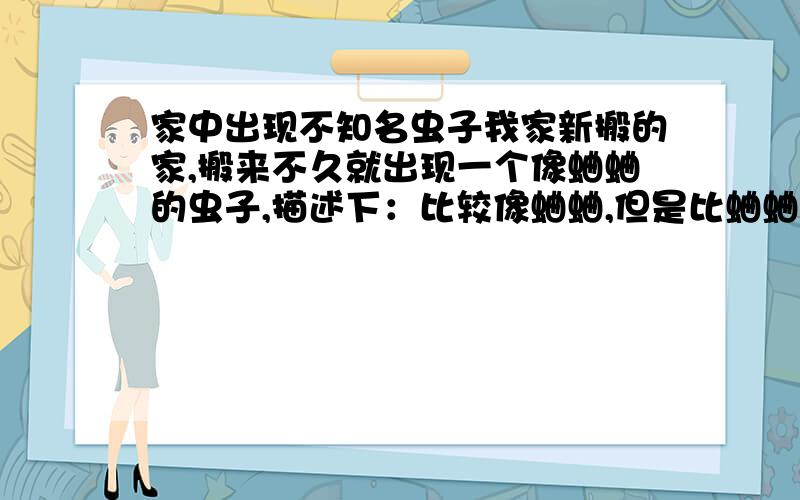 家中出现不知名虫子我家新搬的家,搬来不久就出现一个像蛐蛐的虫子,描述下：比较像蛐蛐,但是比蛐蛐大4到5倍!后腿比较长,颜色为浅色接近透明,弹跳很好.身体很软,打死后出水,是透明的水,