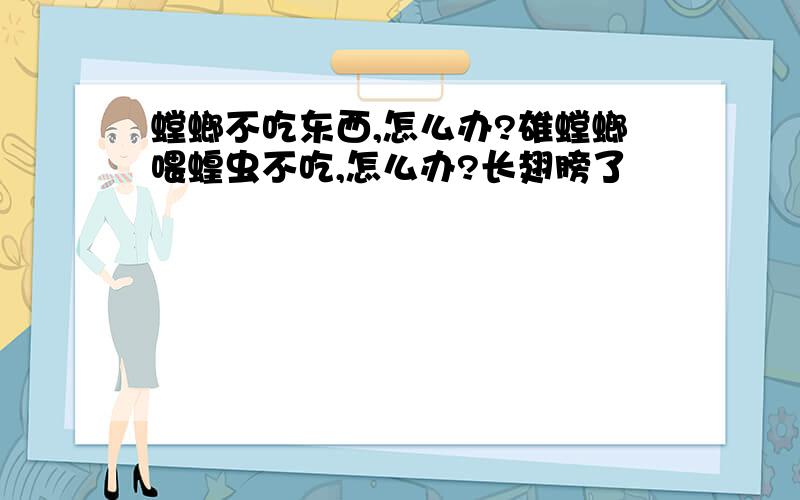 螳螂不吃东西,怎么办?雄螳螂喂蝗虫不吃,怎么办?长翅膀了