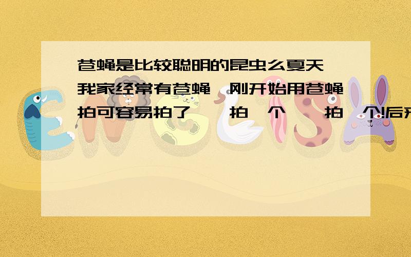 苍蝇是比较聪明的昆虫么夏天,我家经常有苍蝇,刚开始用苍蝇拍可容易拍了,一拍一个,一拍一个!后来就比较难拍了,每次拿起苍蝇拍,那些家伙就呼一下都跑了~这是为什么呢?是因为它们同辈被