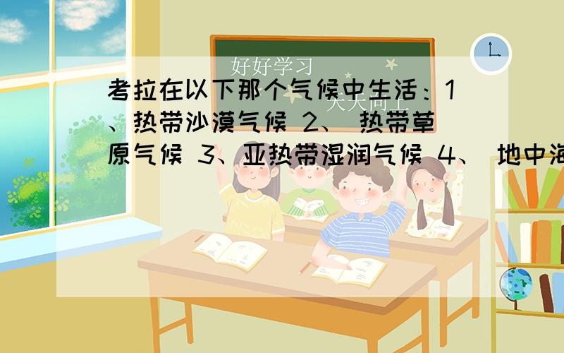 考拉在以下那个气候中生活：1、热带沙漠气候 2、 热带草原气候 3、亚热带湿润气候 4、 地中海气候 5、 温带海洋气候 6、热带雨林气候.