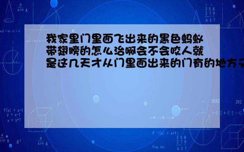 我家里门里面飞出来的黑色蚂蚁带翅膀的怎么治啊会不会咬人就是这几天才从门里面出来的门有的地方又被要空了怎么治啊