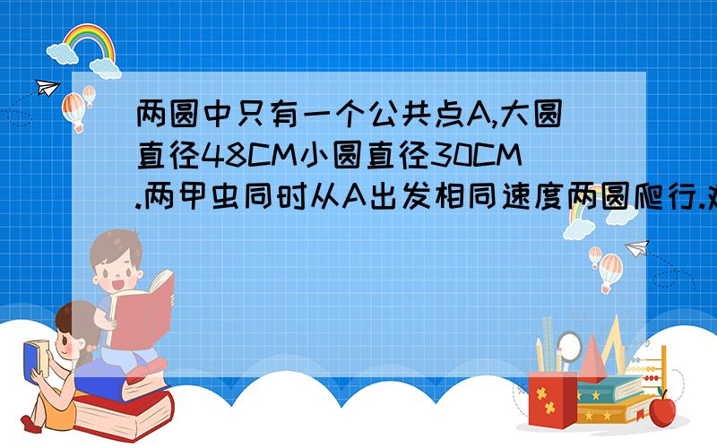 两圆中只有一个公共点A,大圆直径48CM小圆直径30CM.两甲虫同时从A出发相同速度两圆爬行.难题!当小圆上甲虫爬了几圈，两只甲虫相距最远