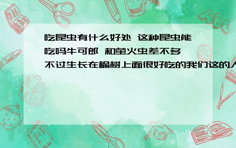 吃昆虫有什么好处 这种昆虫能吃吗牛可郎 和萤火虫差不多 不过生长在榆树上面很好吃的我们这的人几乎都在吃这个.很香的