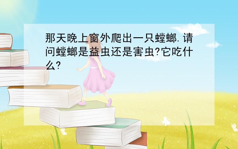 那天晚上窗外爬出一只螳螂.请问螳螂是益虫还是害虫?它吃什么?