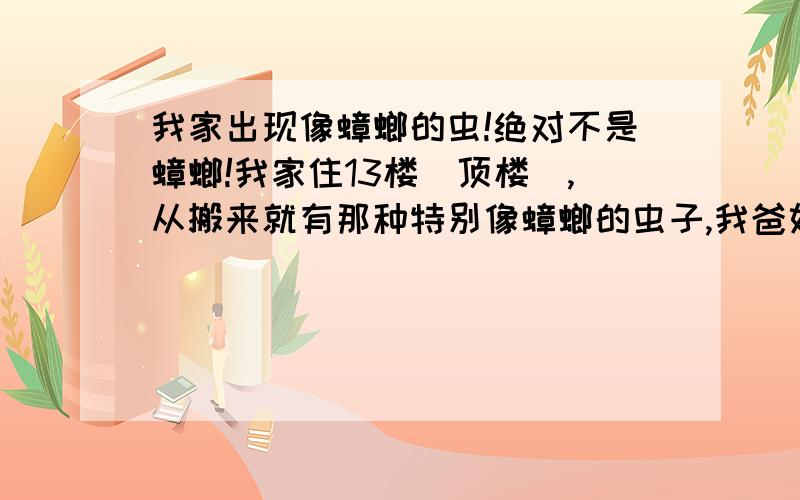 我家出现像蟑螂的虫!绝对不是蟑螂!我家住13楼（顶楼）,从搬来就有那种特别像蟑螂的虫子,我爸妈都说那玩意太像蟑螂了,但是蟑螂一般爬起来都没有声音的,而且一碰就跑的飞快.可是这虫子