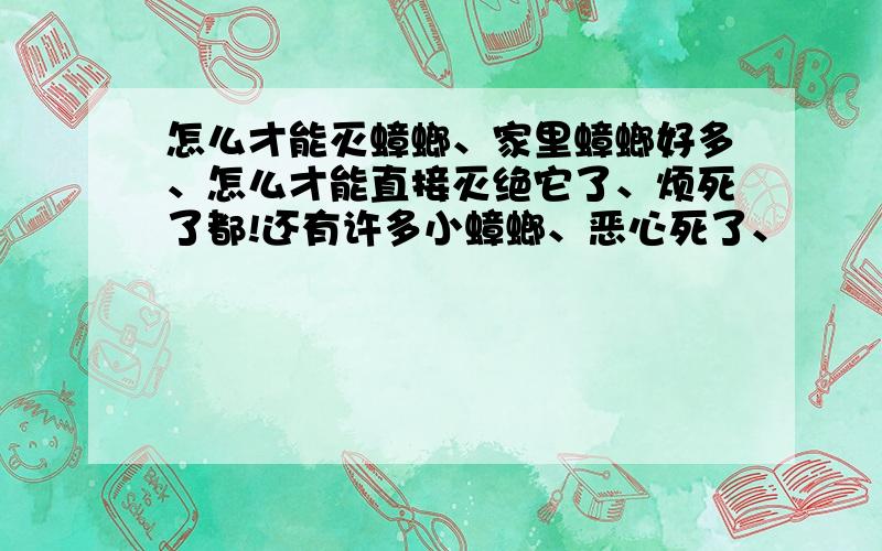 怎么才能灭蟑螂、家里蟑螂好多、怎么才能直接灭绝它了、烦死了都!还有许多小蟑螂、恶心死了、