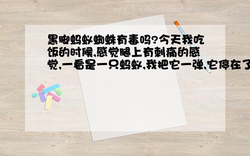 黑脚蚂蚁蜘蛛有毒吗?今天我吃饭的时候,感觉腿上有刺痛的感觉,一看是一只蚂蚁,我把它一弹,它停在了空中,他居然还往上爬,我感觉它是蜘蛛但不像,就把他踩死了,后来上网一查果真是蜘蛛,叫