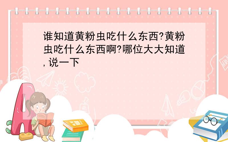 谁知道黄粉虫吃什么东西?黄粉虫吃什么东西啊?哪位大大知道,说一下