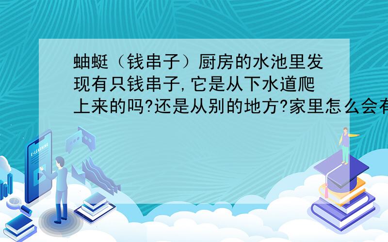 蚰蜓（钱串子）厨房的水池里发现有只钱串子,它是从下水道爬上来的吗?还是从别的地方?家里怎么会有这种虫子?