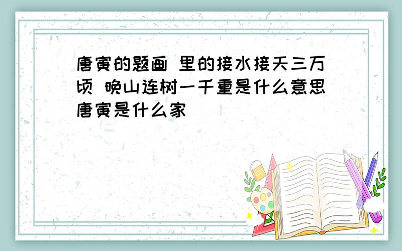 唐寅的题画 里的接水接天三万顷 晚山连树一千重是什么意思唐寅是什么家