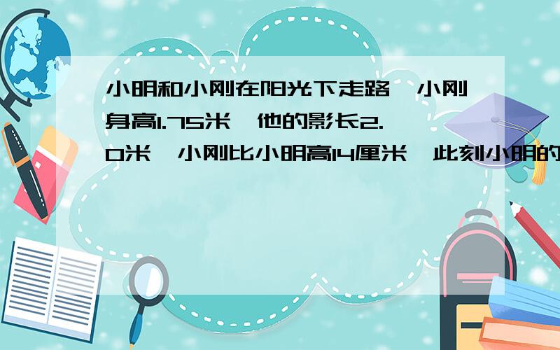 小明和小刚在阳光下走路,小刚身高1.75米,他的影长2.0米,小刚比小明高14厘米,此刻小明的影长是几米