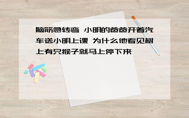 脑筋急转弯 小明的爸爸开着汽车送小明上课 为什么他看见树上有只猴子就马上停下来