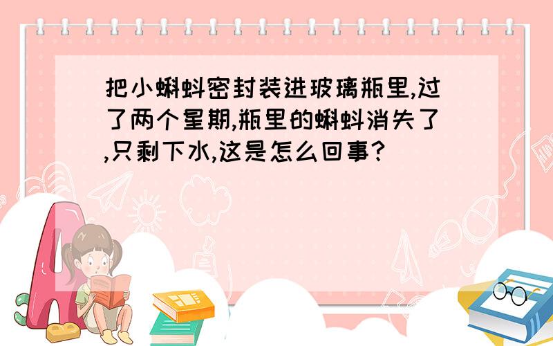 把小蝌蚪密封装进玻璃瓶里,过了两个星期,瓶里的蝌蚪消失了,只剩下水,这是怎么回事?