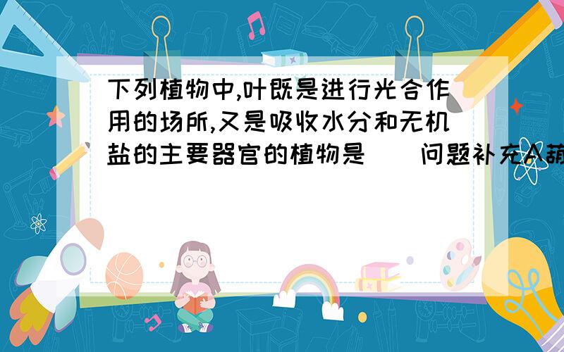 下列植物中,叶既是进行光合作用的场所,又是吸收水分和无机盐的主要器官的植物是（）问题补充A葫芦藓 B水绵 C海带 D衣藻