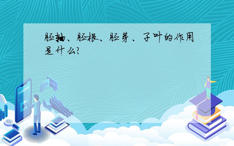 胚轴、胚根、胚芽、子叶的作用是什么?