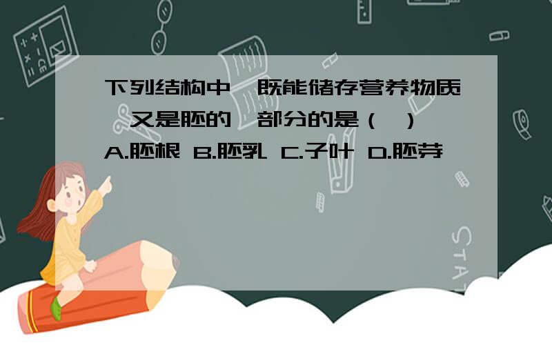 下列结构中,既能储存营养物质,又是胚的一部分的是（ ） A.胚根 B.胚乳 C.子叶 D.胚芽