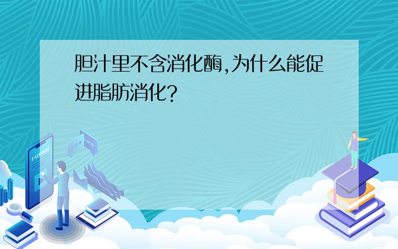 胆汁里不含消化酶,为什么能促进脂肪消化?