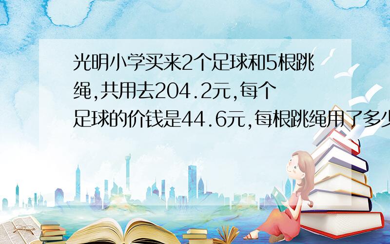 光明小学买来2个足球和5根跳绳,共用去204.2元,每个足球的价钱是44.6元,每根跳绳用了多少元?(用方程解答)