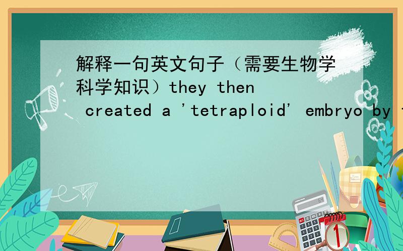 解释一句英文句子（需要生物学科学知识）they then created a 'tetraploid' embryo by fusing two cells of an early-stage fertilized embryo.后面fusing two cells of an early-stage fertilized embryo.