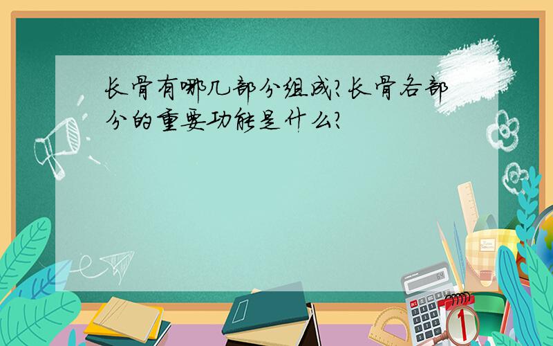 长骨有哪几部分组成?长骨各部分的重要功能是什么?