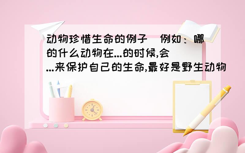 动物珍惜生命的例子（例如：哪的什么动物在...的时候,会...来保护自己的生命,最好是野生动物）