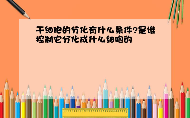 干细胞的分化有什么条件?是谁控制它分化成什么细胞的