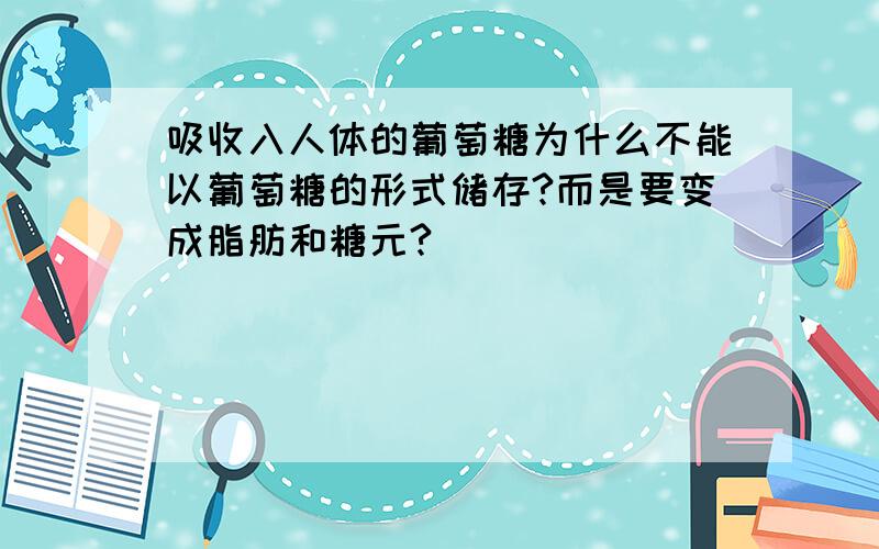 吸收入人体的葡萄糖为什么不能以葡萄糖的形式储存?而是要变成脂肪和糖元?