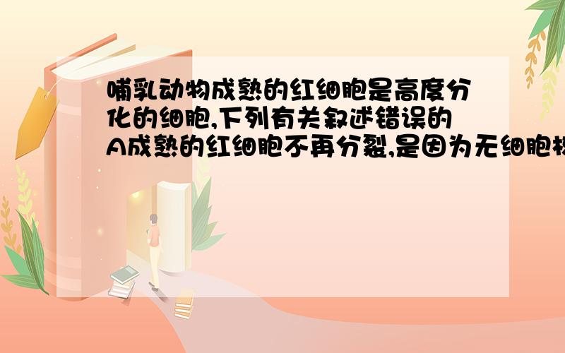 哺乳动物成熟的红细胞是高度分化的细胞,下列有关叙述错误的A成熟的红细胞不再分裂,是因为无细胞核B成熟红细胞寿命短是因为无酶系统C成熟红细胞不存在细胞周期D成熟红细胞内无基因表