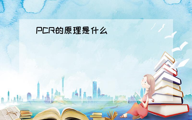 PCR的原理是什么