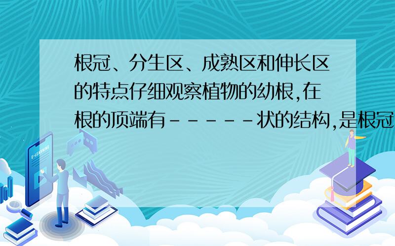 根冠、分生区、成熟区和伸长区的特点仔细观察植物的幼根,在根的顶端有-----状的结构,是根冠；根冠向上是很短的一段颜色-----、呈半透明状的部分,叫分生区；分生区向上颜色-----的部分是