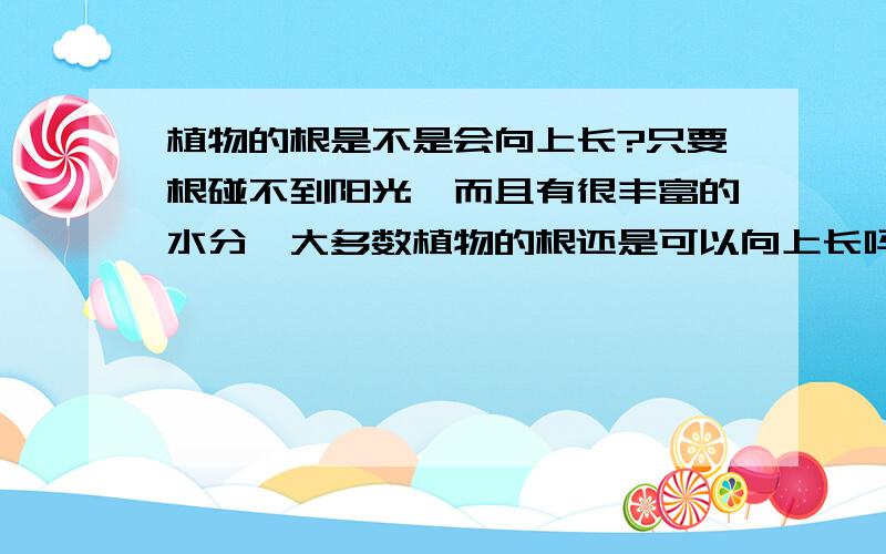 植物的根是不是会向上长?只要根碰不到阳光,而且有很丰富的水分,大多数植物的根还是可以向上长吗?