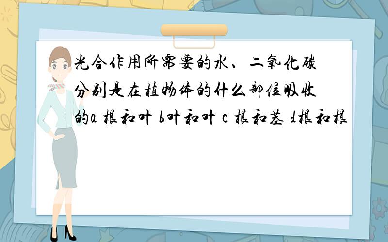 光合作用所需要的水、二氧化碳分别是在植物体的什么部位吸收的a 根和叶 b叶和叶 c 根和茎 d根和根