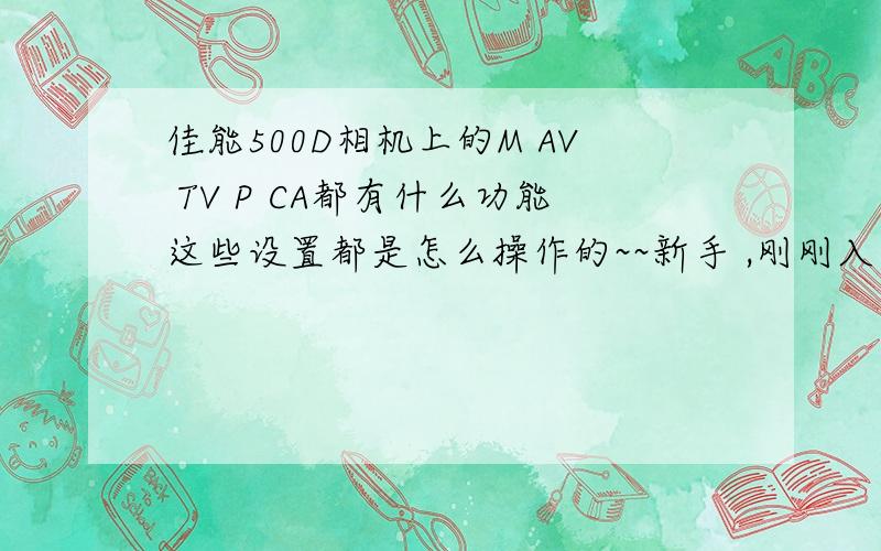 佳能500D相机上的M AV TV P CA都有什么功能这些设置都是怎么操作的~~新手 ,刚刚入手单反相机~~搞不懂!谢谢