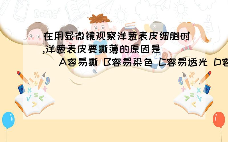 在用显微镜观察洋葱表皮细胞时,洋葱表皮要撕薄的原因是（ ） A容易撕 B容易染色 C容易透光 D容易固定