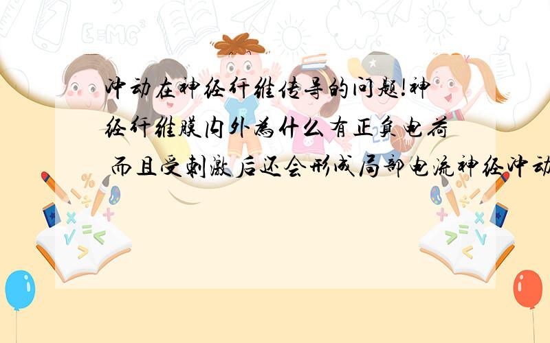 冲动在神经纤维传导的问题!神经纤维膜内外为什么有正负电荷 而且受刺激后还会形成局部电流神经冲动在神经纤维上的传导:1.生理完整性：完整才有传导冲动的能力 2.绝缘性：很多神经在