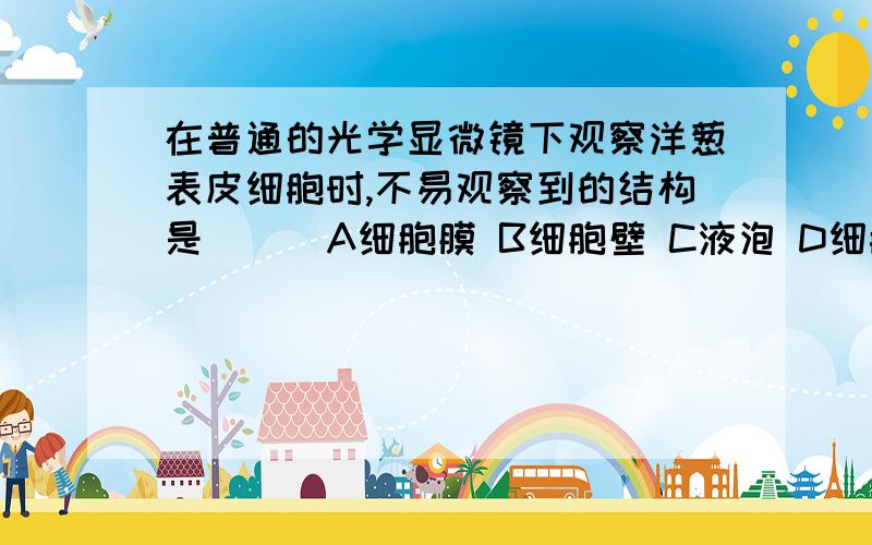 在普通的光学显微镜下观察洋葱表皮细胞时,不易观察到的结构是（ ） A细胞膜 B细胞壁 C液泡 D细胞核