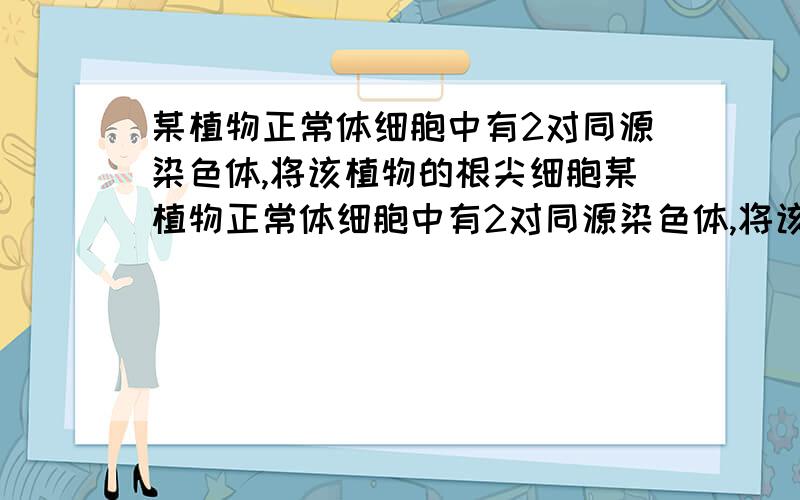 某植物正常体细胞中有2对同源染色体,将该植物的根尖细胞某植物正常体细胞中有2对同源染色体,将该植物的根尖细胞在含H3标记的胸腺嘧啶脱氧核苷培养集中完成一个细胞周期后取其中一个