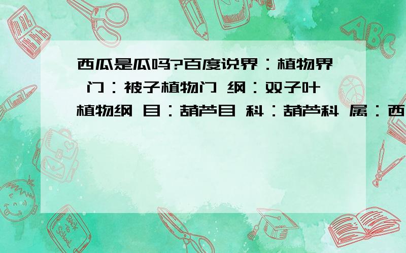 西瓜是瓜吗?百度说界：植物界 门：被子植物门 纲：双子叶植物纲 目：葫芦目 科：葫芦科 属：西瓜属 那它属于瓜还是葫芦?呃.=