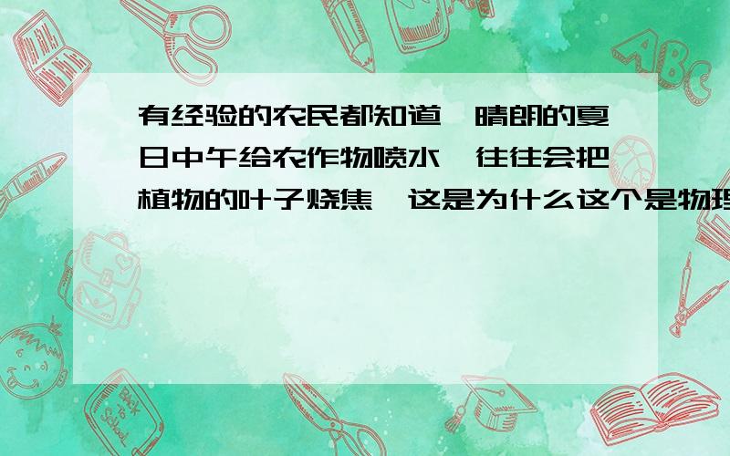 有经验的农民都知道,晴朗的夏日中午给农作物喷水,往往会把植物的叶子烧焦,这是为什么这个是物理题···8年级上期学透镜时候的题