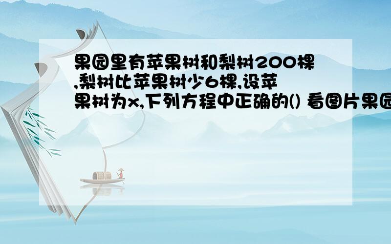 果园里有苹果树和梨树200棵,梨树比苹果树少6棵,设苹 果树为x,下列方程中正确的() 看图片果园里有苹果树和梨树200棵,梨树比苹果树少6棵,设苹  果树为x,下列方程中正确的() 看图片 选择题