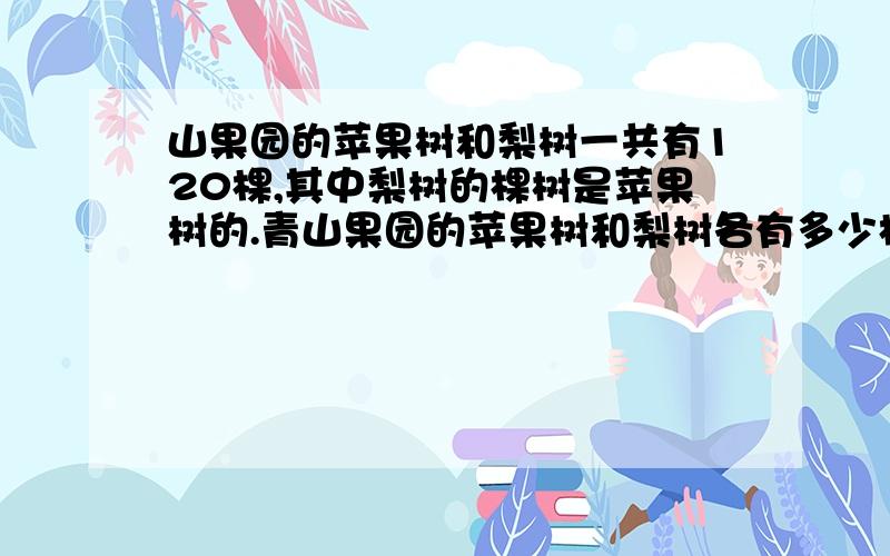 山果园的苹果树和梨树一共有120棵,其中梨树的棵树是苹果树的.青山果园的苹果树和梨树各有多少棵?