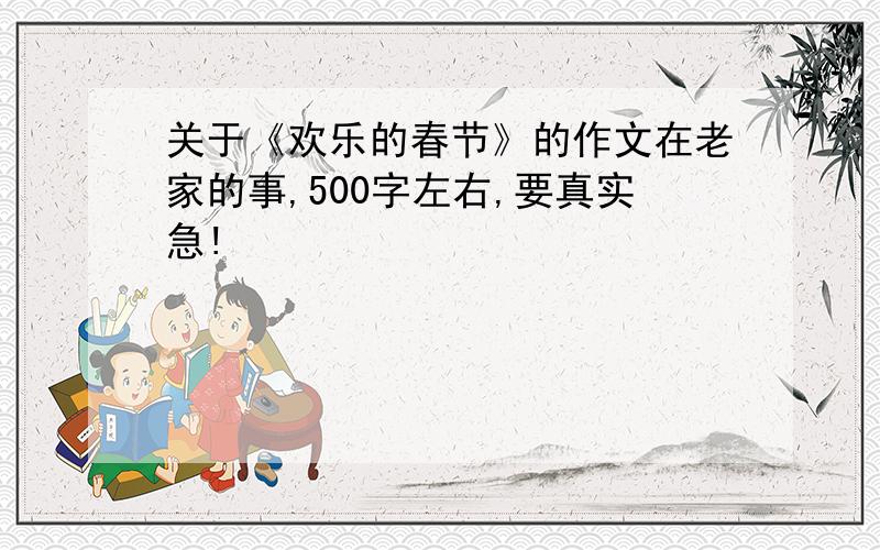 关于《欢乐的春节》的作文在老家的事,500字左右,要真实急!