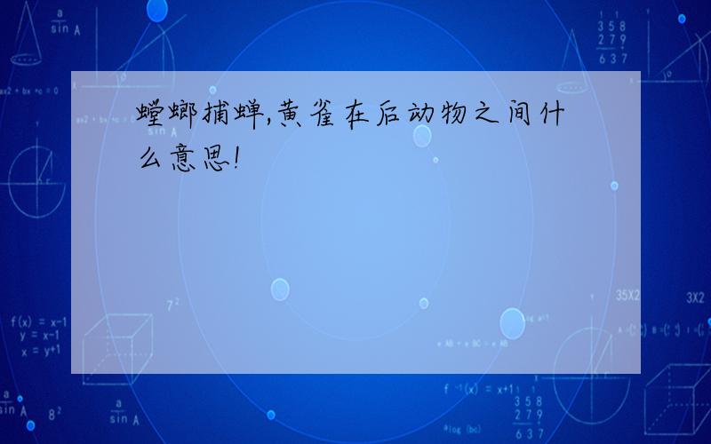 螳螂捕蝉,黄雀在后动物之间什么意思!