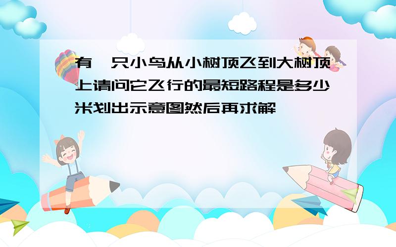 有一只小鸟从小树顶飞到大树顶上请问它飞行的最短路程是多少米划出示意图然后再求解