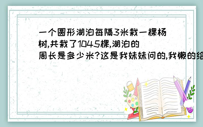 一个圆形湖泊每隔3米栽一棵杨树,共栽了1045棵,湖泊的周长是多少米?这是我妹妹问的,我懒的给她答